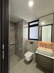Irwell Hill Residences (D9), Apartment #451088361
